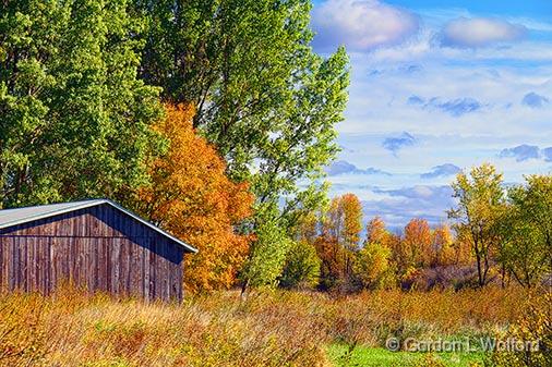 Autumn Landscape_28648.jpg - Photographed near Rosedale, Ontario, Canada.